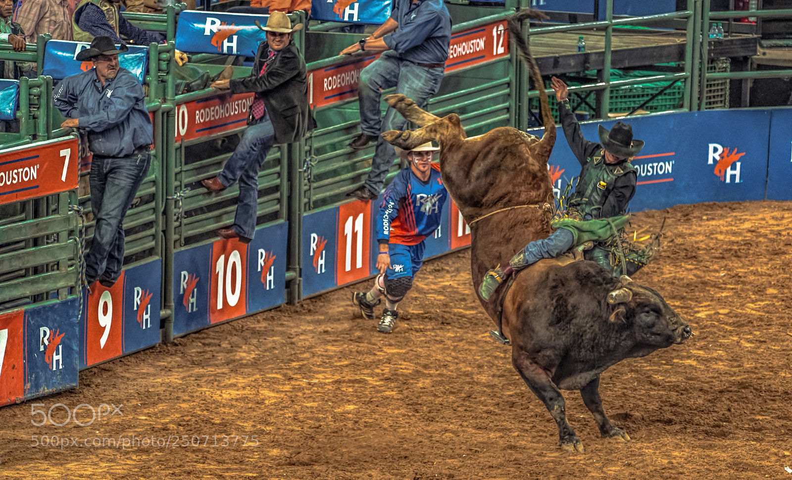 Sony a7R II sample photo. Get off my back photography