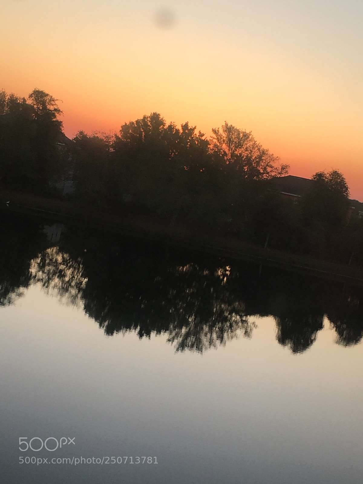 Apple iPhone 6s sample photo. Untitled photography