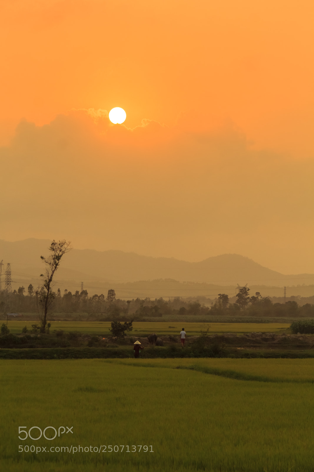 Canon EOS 60D sample photo. Img photography