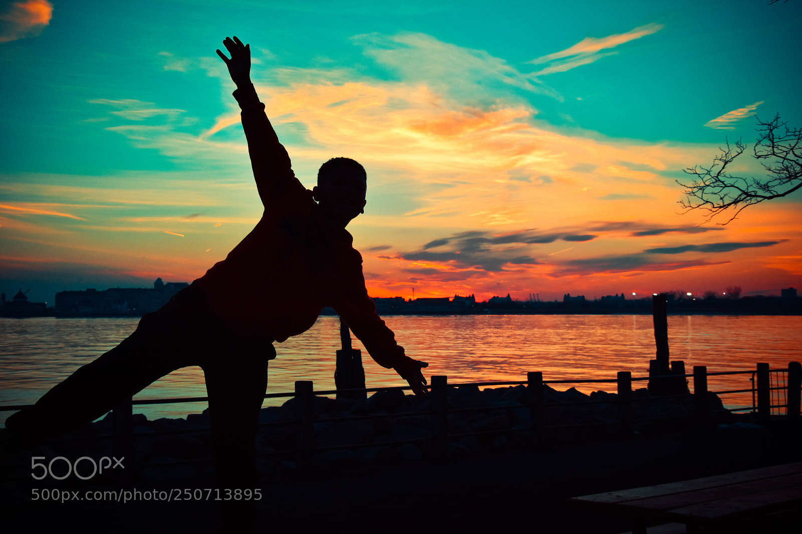 Nikon D7200 sample photo. Falling statue.. photography