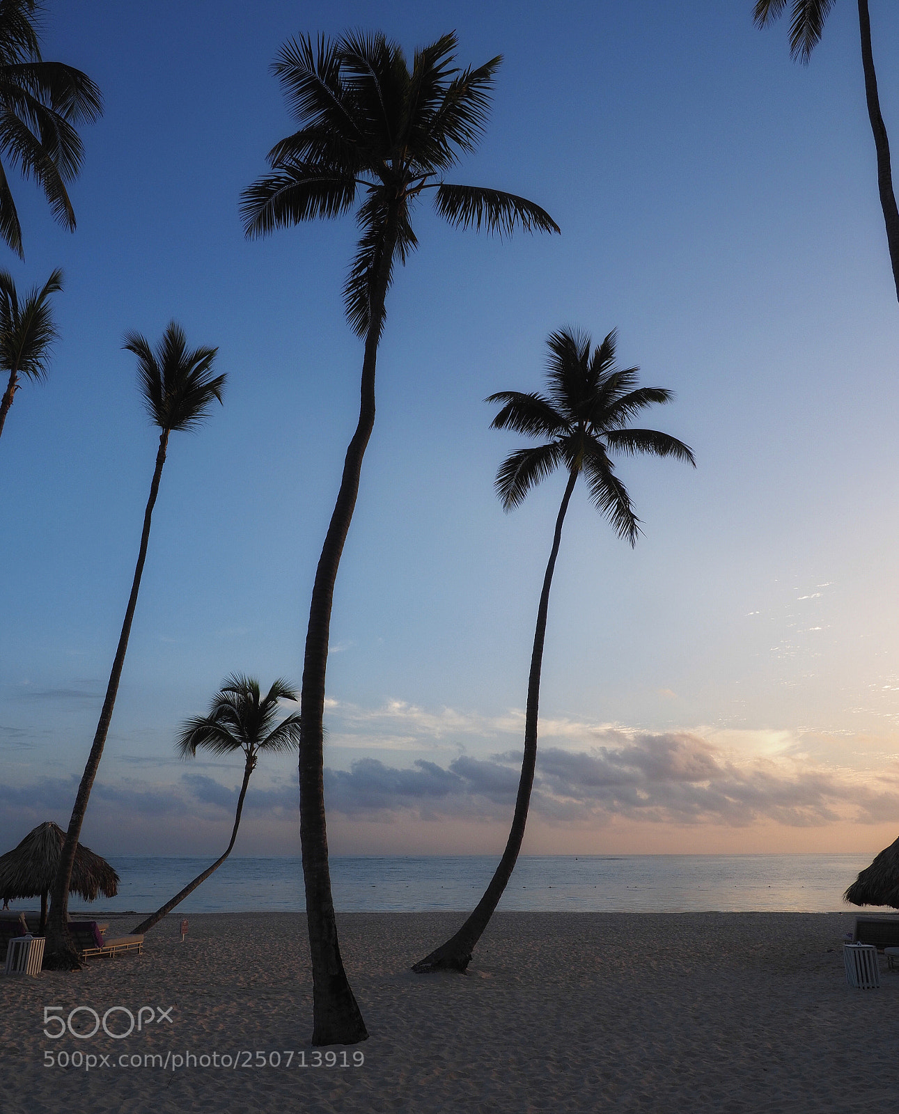 Olympus OM-D E-M1 Mark II sample photo. Tall sunrise  photography