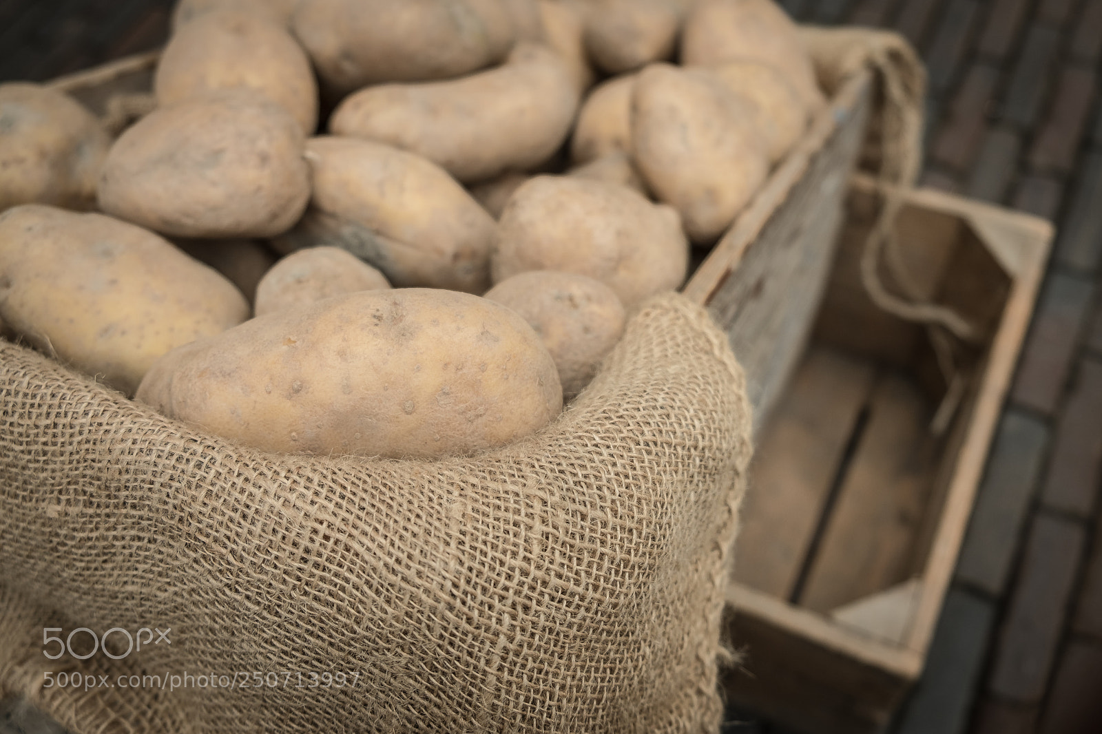 Fujifilm X-T20 sample photo. Potatoes photography