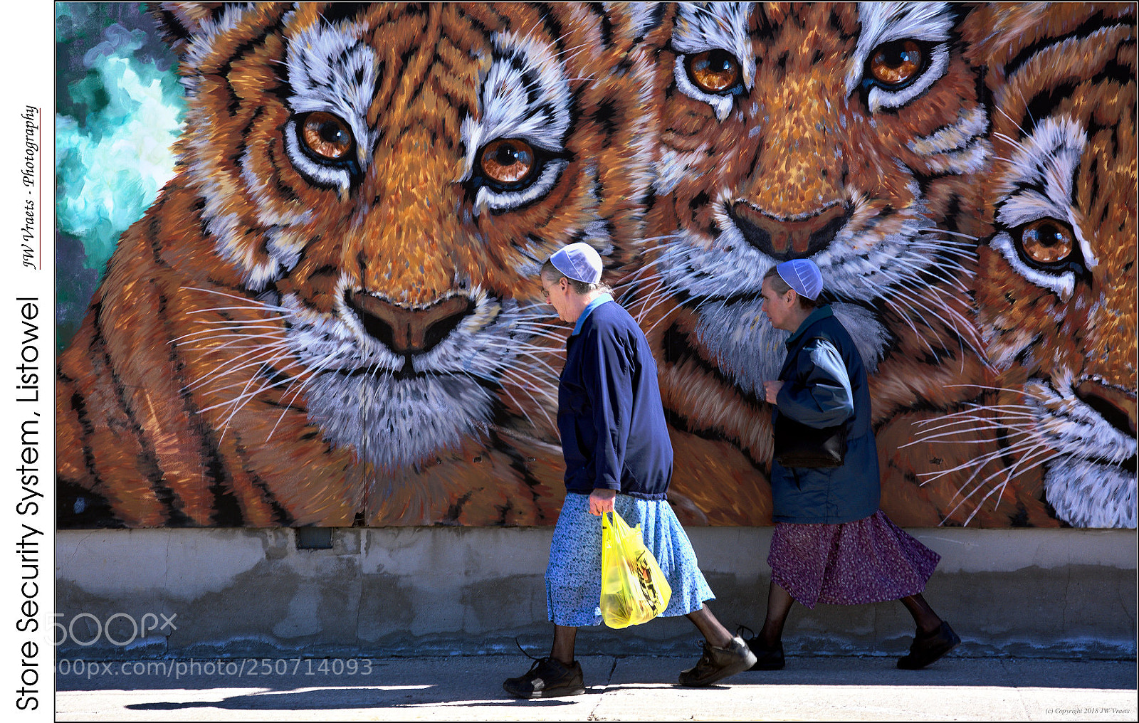 Nikon D7100 sample photo. Store security system, listowel photography