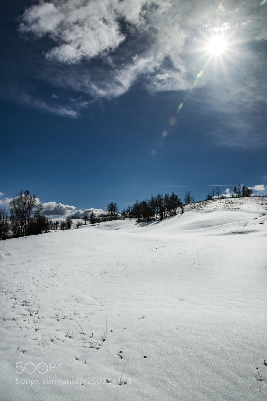 Nikon D3200 sample photo. Sunny day photography