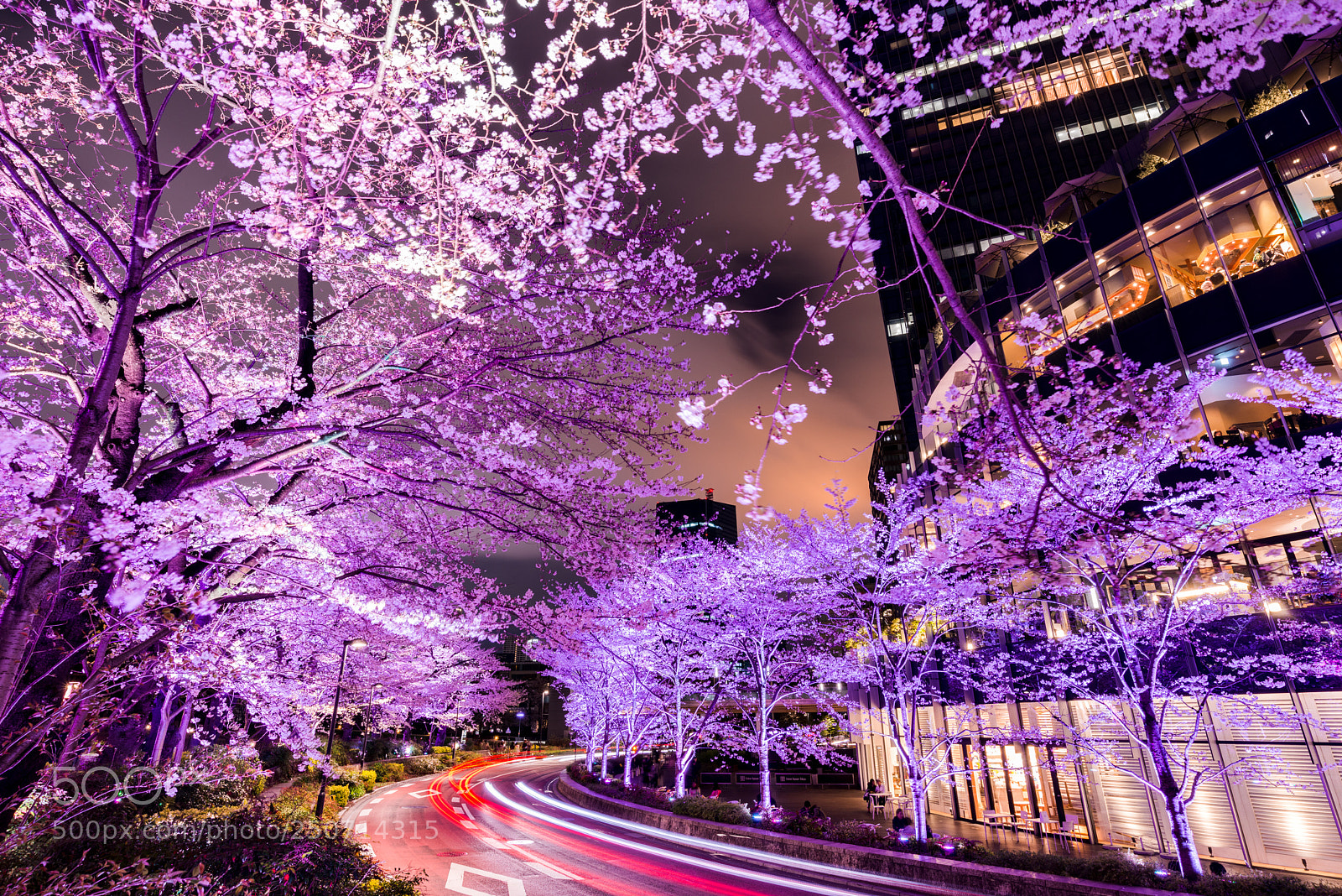 Nikon D800 sample photo. Tokyo photography