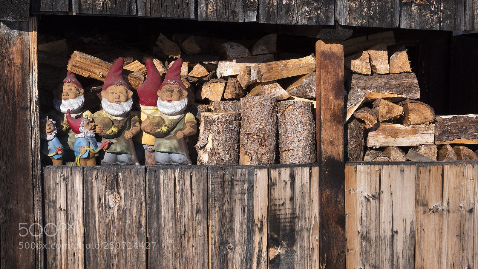 Panasonic Lumix DC-G9 sample photo. Gnomes watching over fuelwood photography