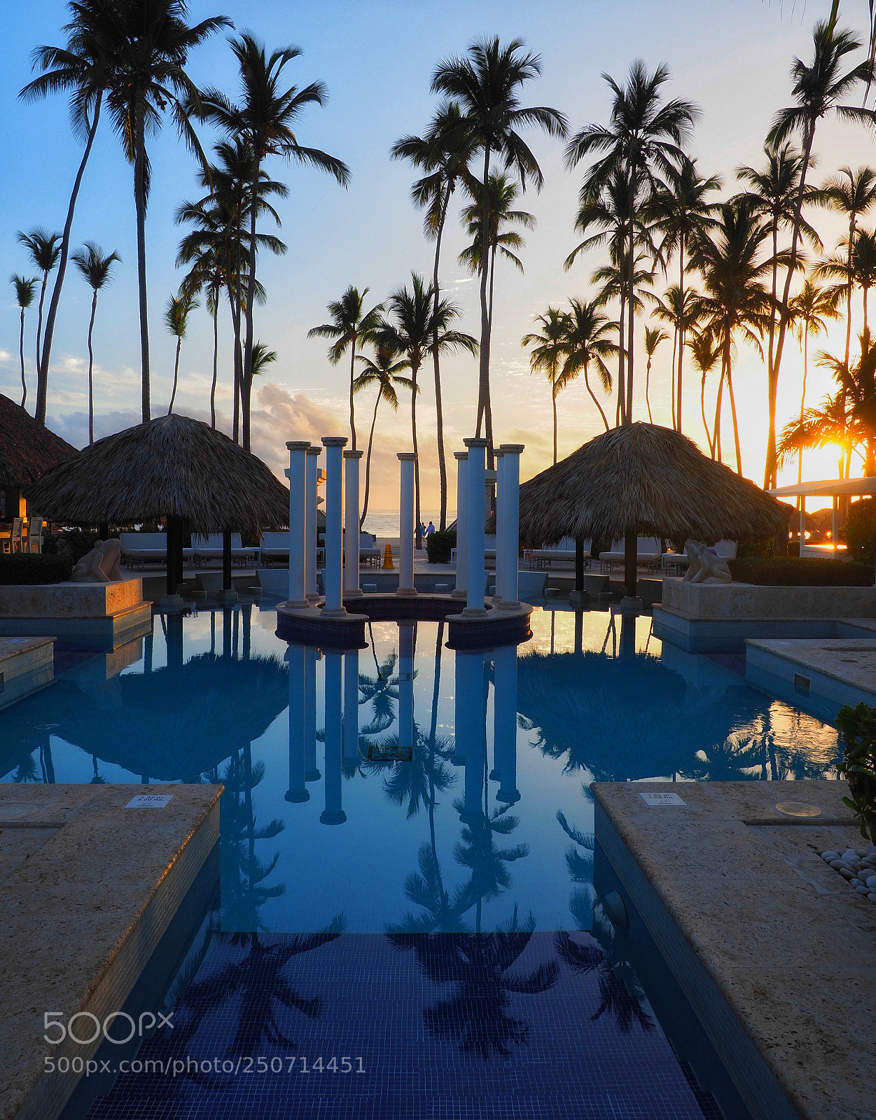 Olympus OM-D E-M1 Mark II sample photo. Pool reflections  photography