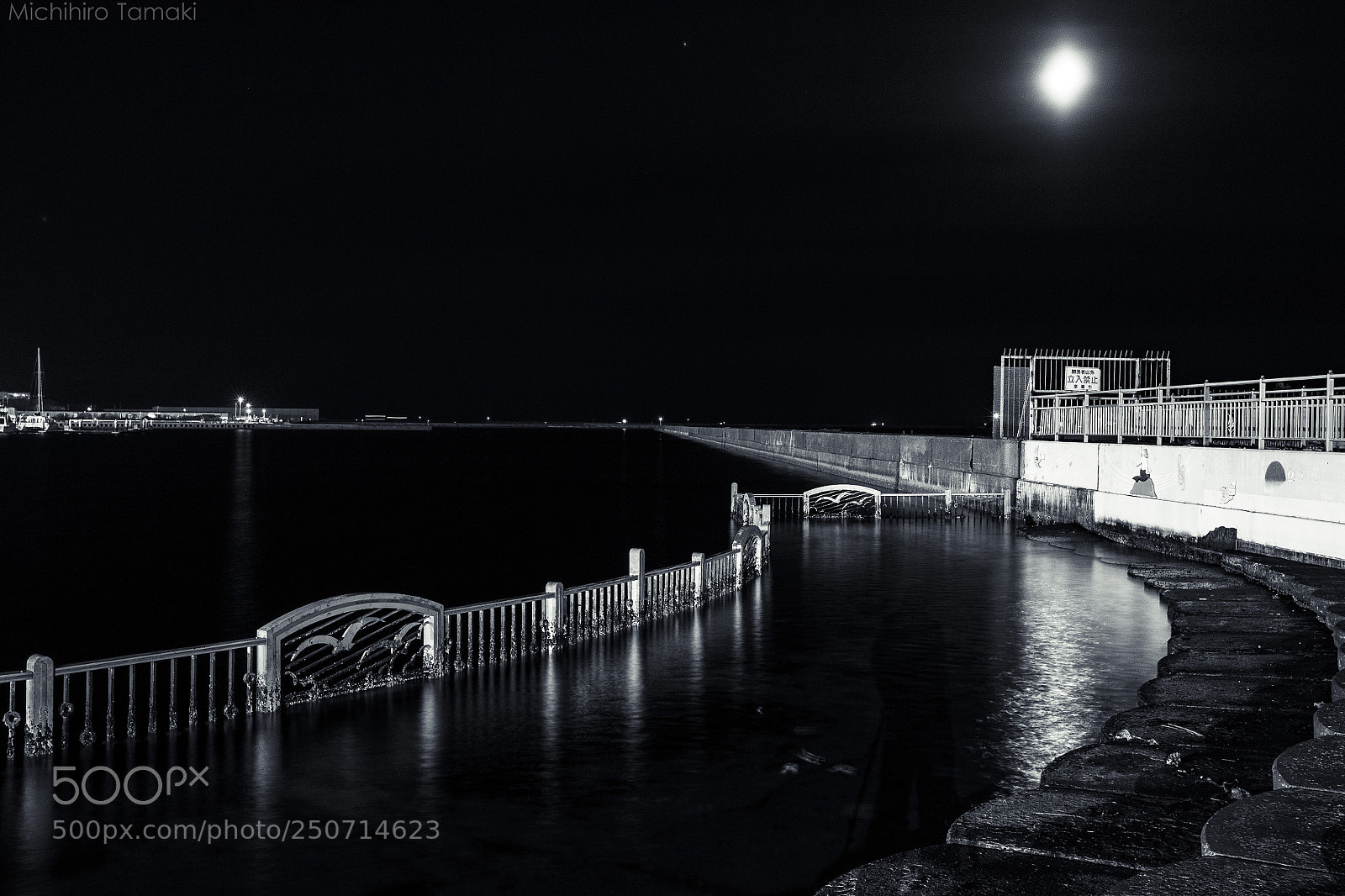 Fujifilm X-E1 sample photo. Moon light black harbour photography
