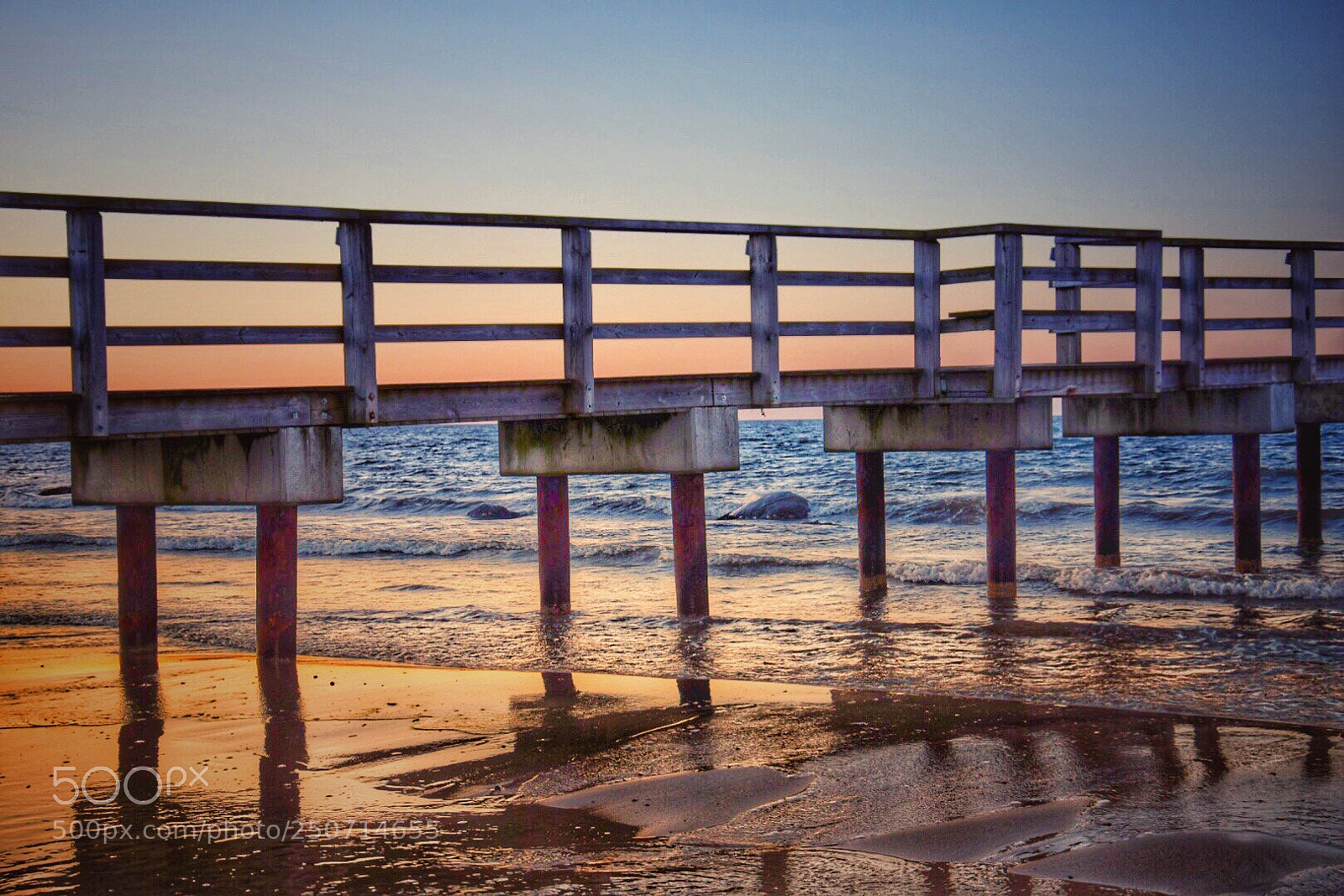 Nikon D5300 sample photo. Waiting for summertime... photography