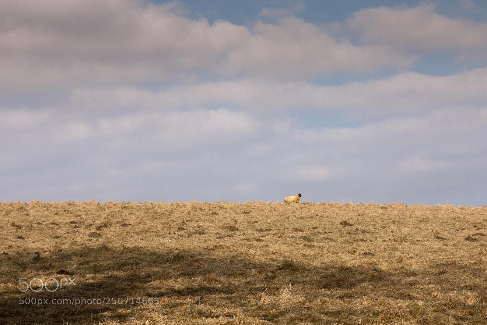 Nikon D7200 sample photo. On a horizon photography