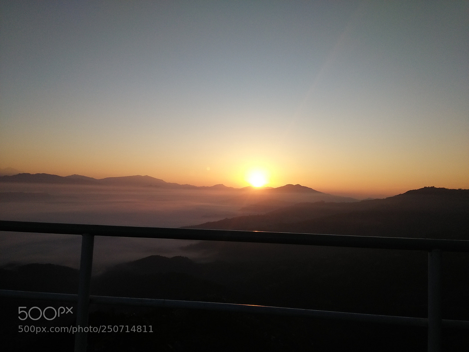 OPPO A37fw-International sample photo. Untitled photography