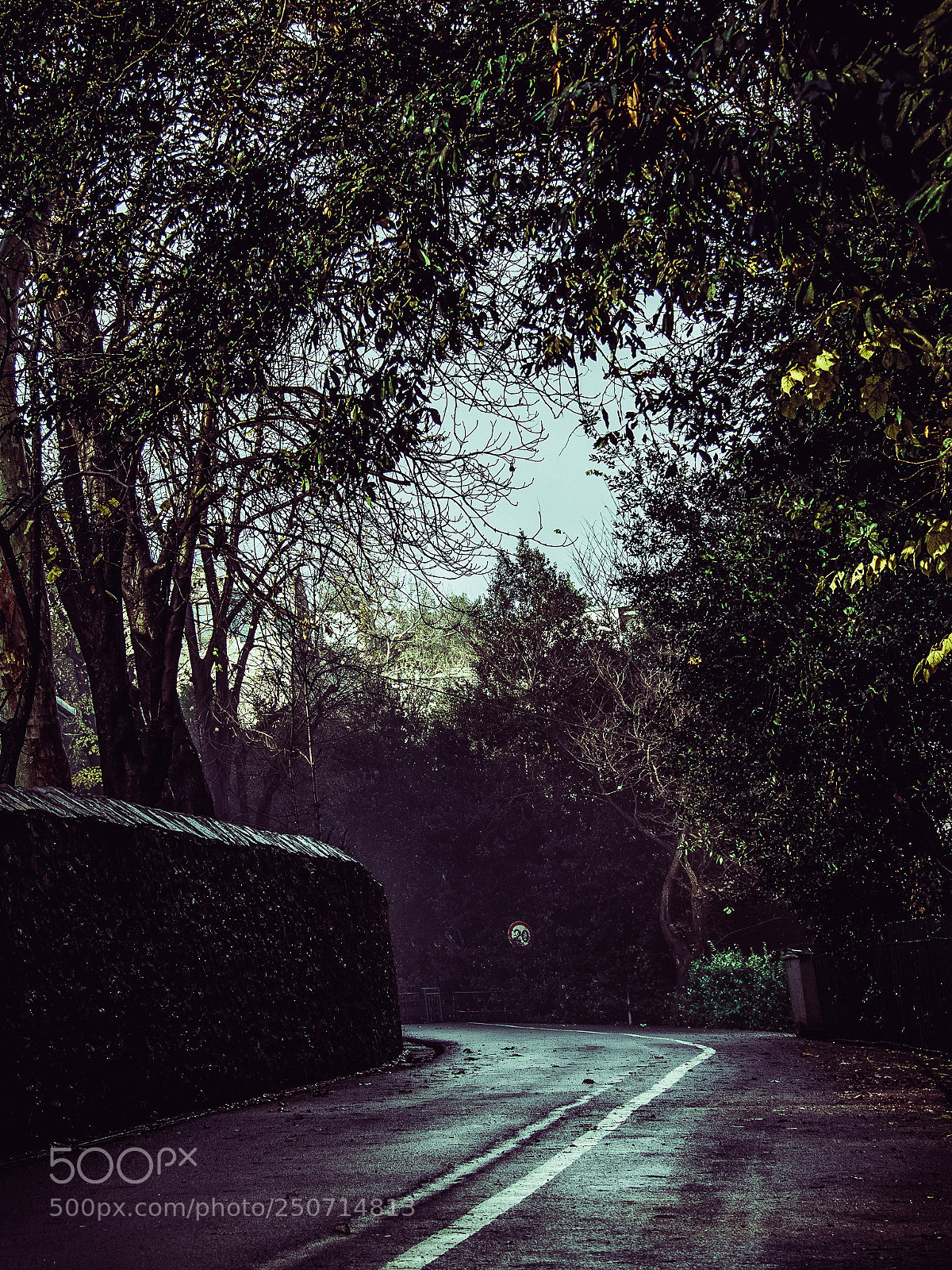 Olympus OM-D E-M5 sample photo. After rain road photography