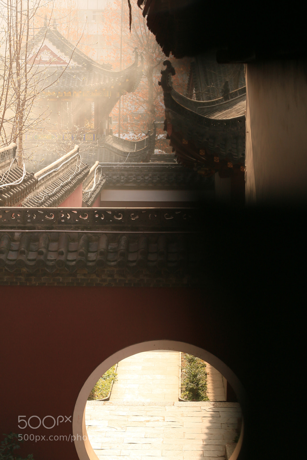 Canon EOS 70D sample photo. Untitled photography