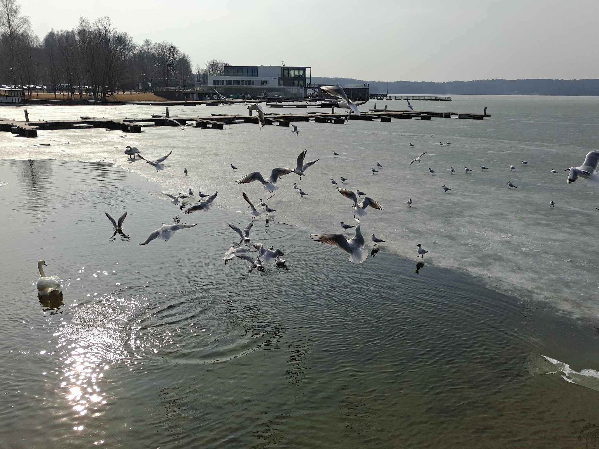 Meizu PRO 5 sample photo