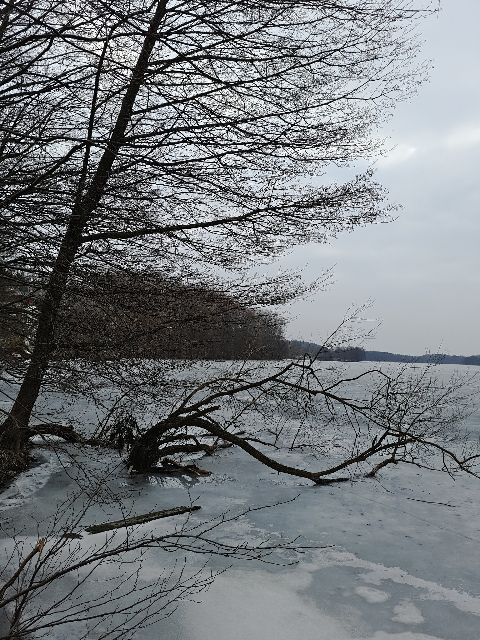 Meizu PRO 5 sample photo