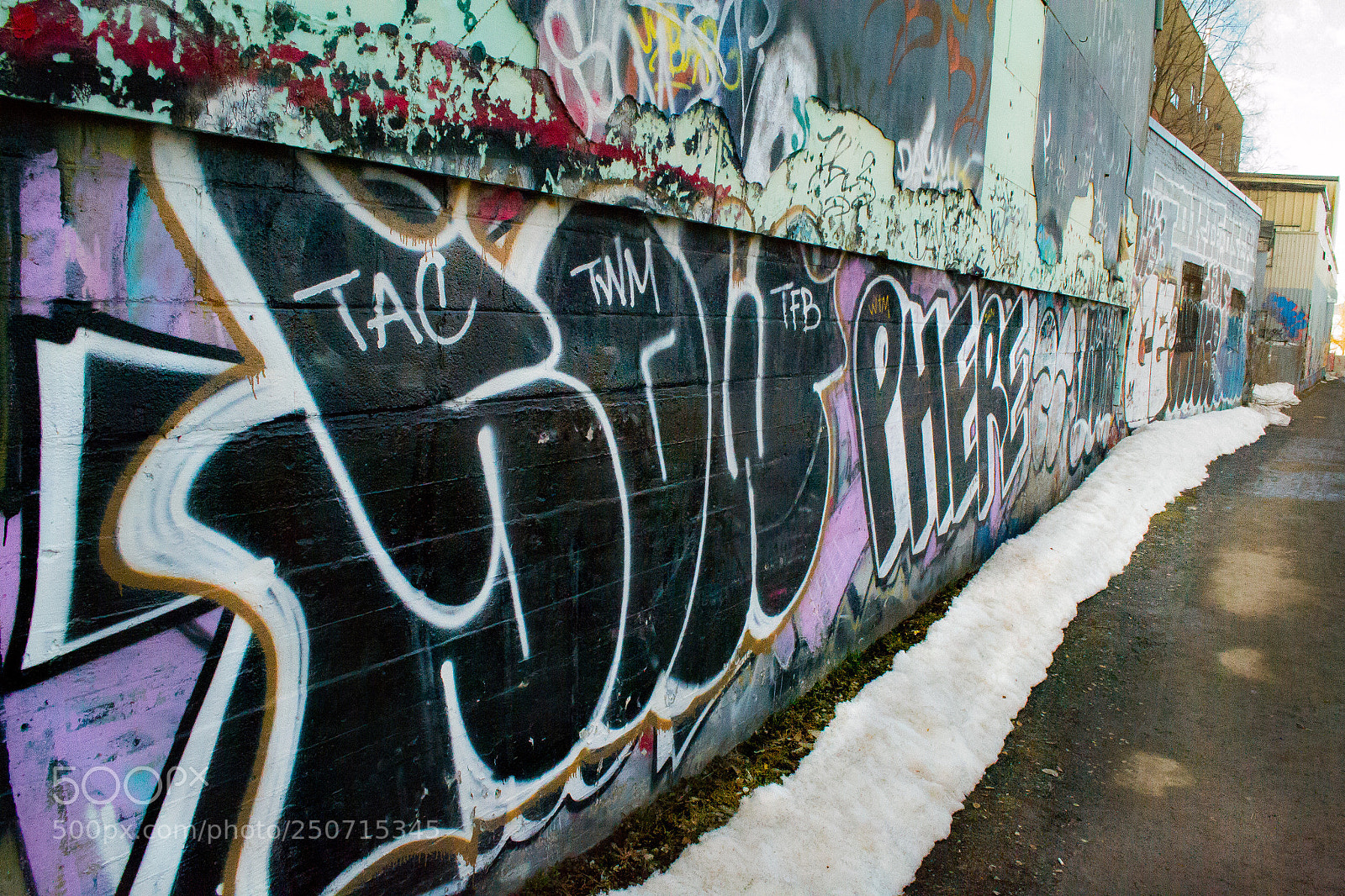 Nikon D3100 sample photo. Street art in mtl photography