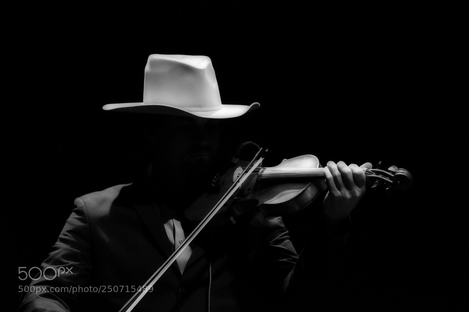 Nikon D500 sample photo. Anonymous violinist photography