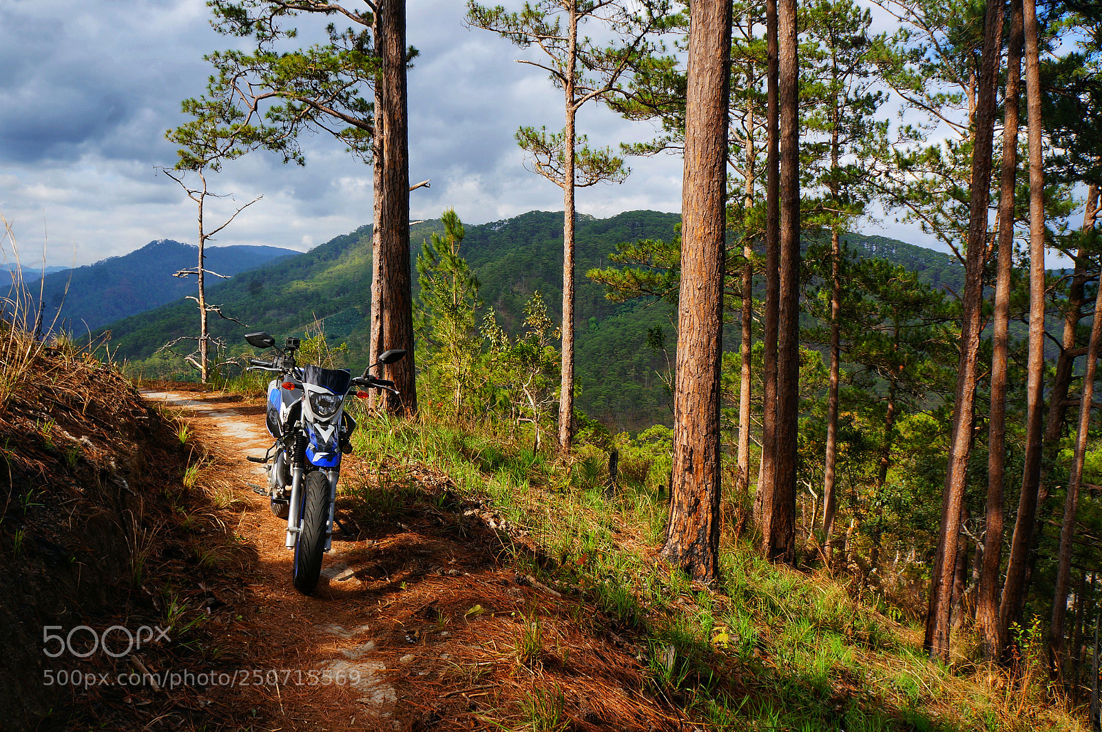 Sony Alpha NEX-6 sample photo. Vietnam forest photography