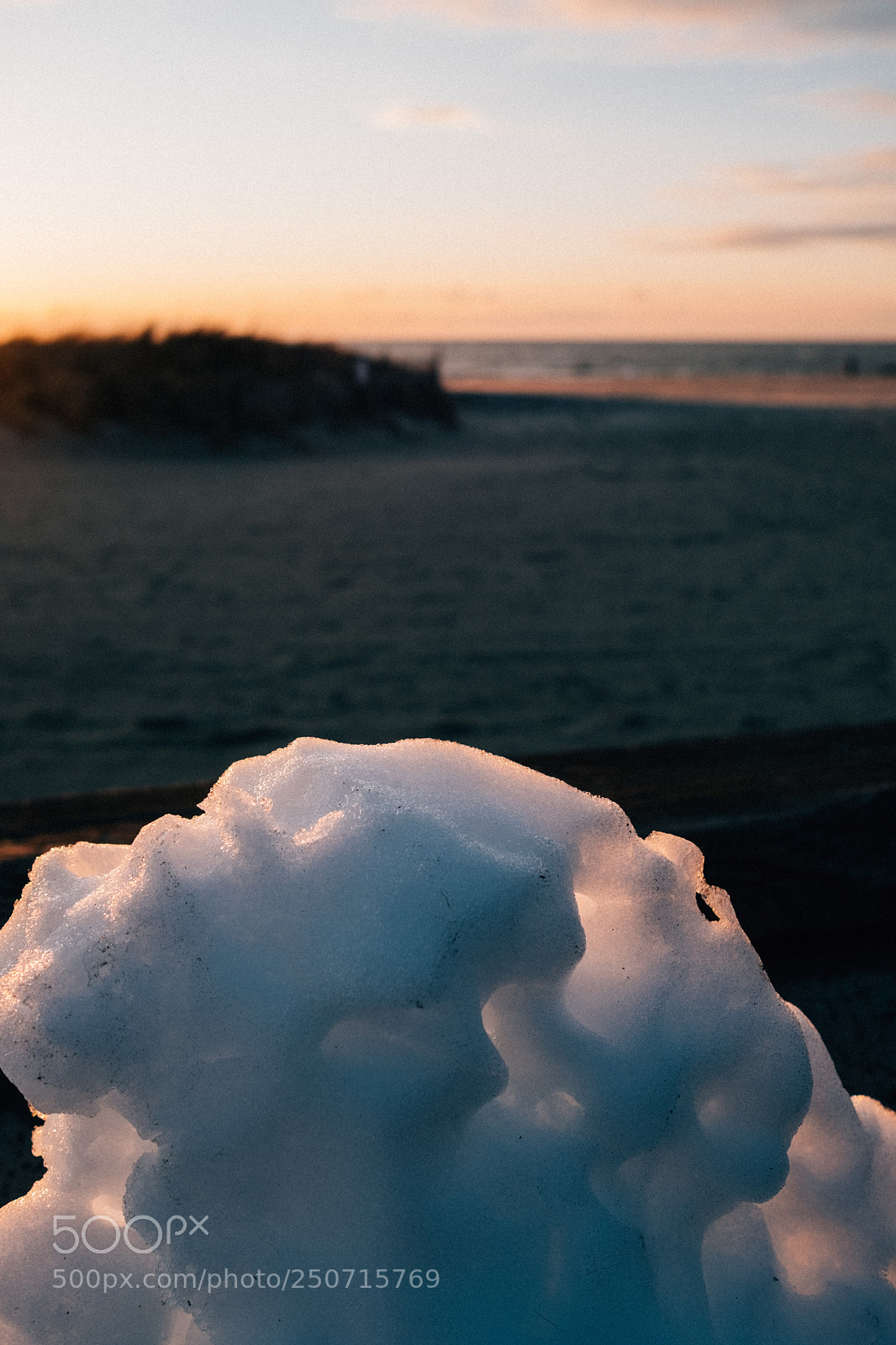 Fujifilm X-Pro2 sample photo. Still snow photography
