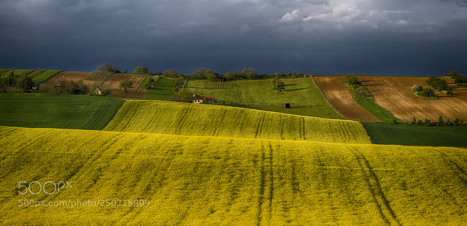 Nikon D610 sample photo. The  sunset lights photography