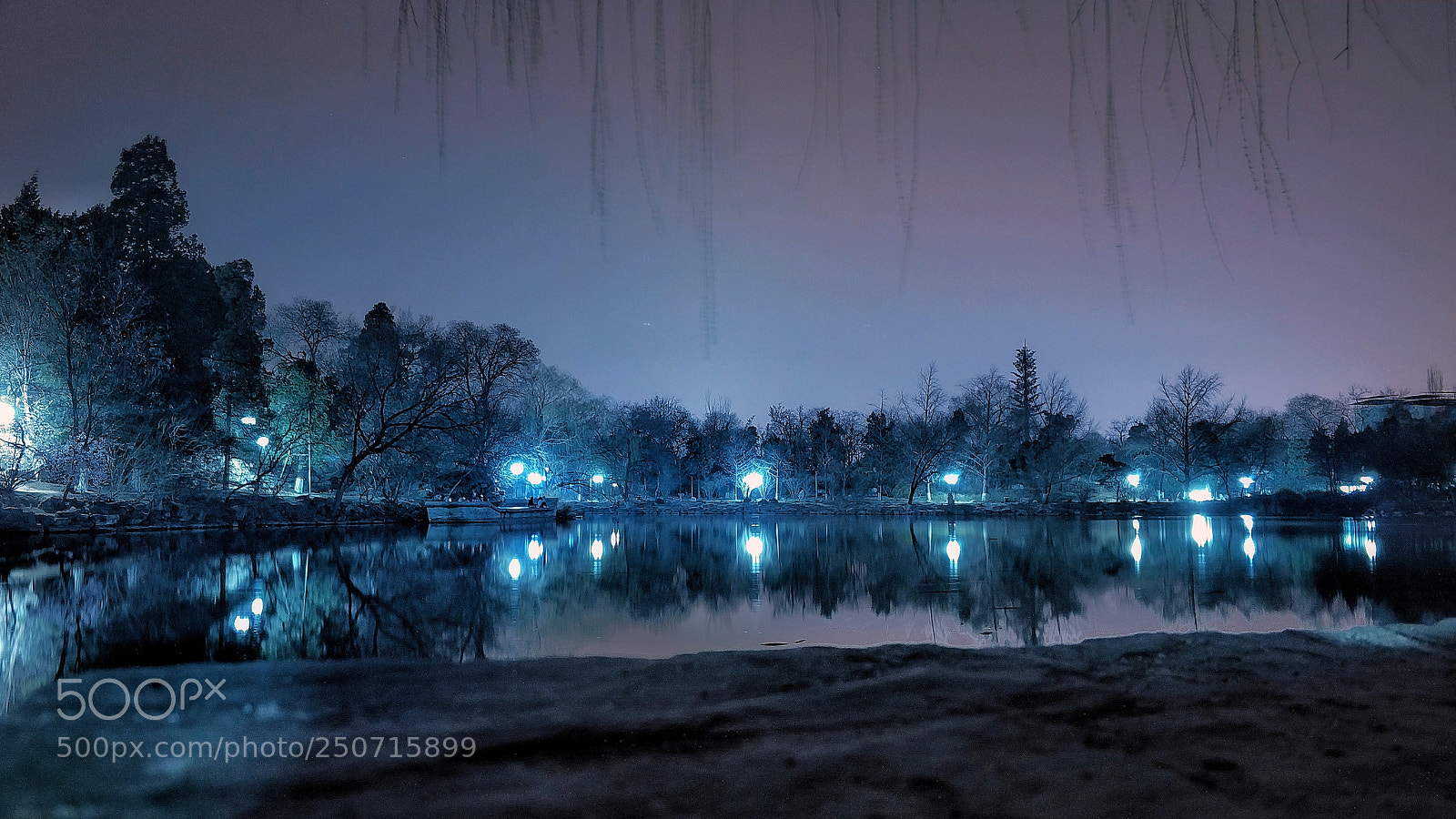 Xiaomi MI6 sample photo. Untitled photography
