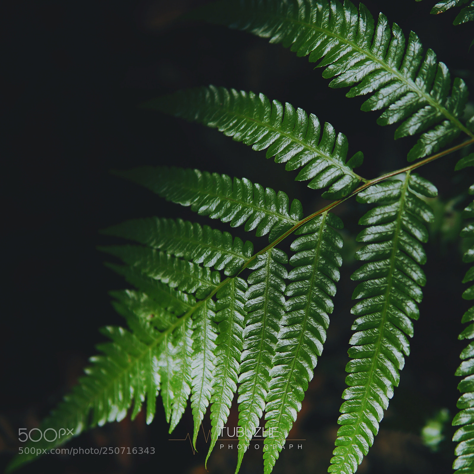 Sony a6000 sample photo. Untitled photography