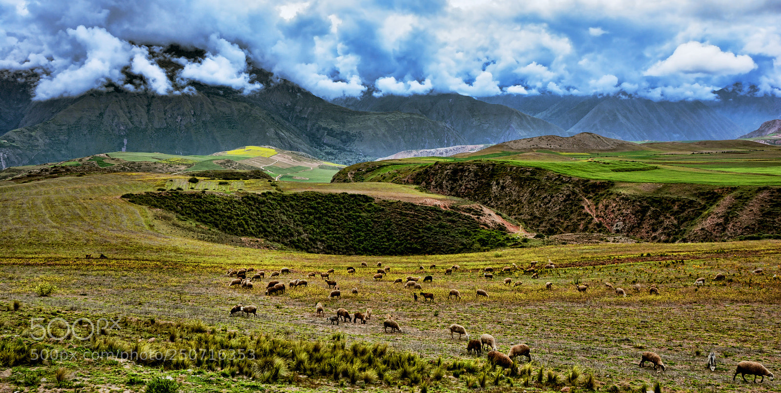 Nikon D7100 sample photo. Valles andinos photography