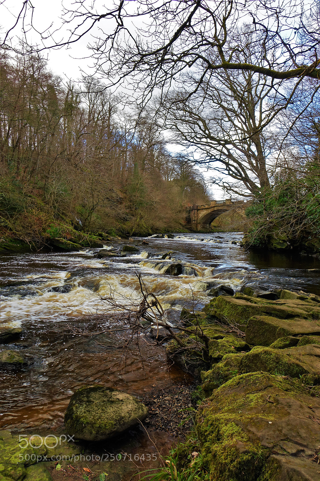 Sony Cyber-shot DSC-RX10 sample photo. Nasmythe bridge photography