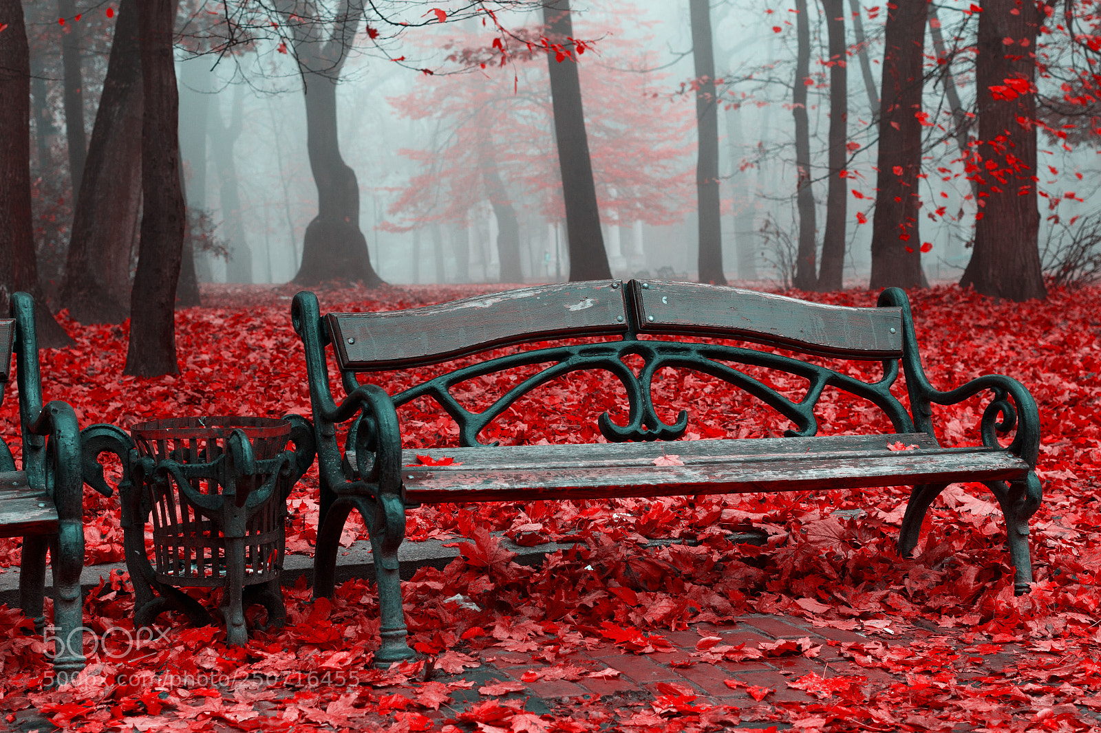 Canon EOS 100D (EOS Rebel SL1 / EOS Kiss X7) sample photo. Beautiful autumn in red photography