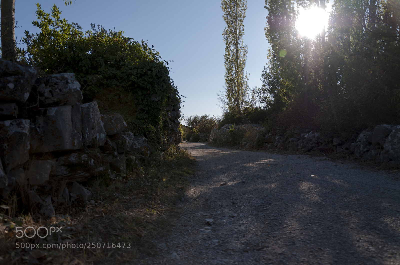 Nikon D300 sample photo. Road photography