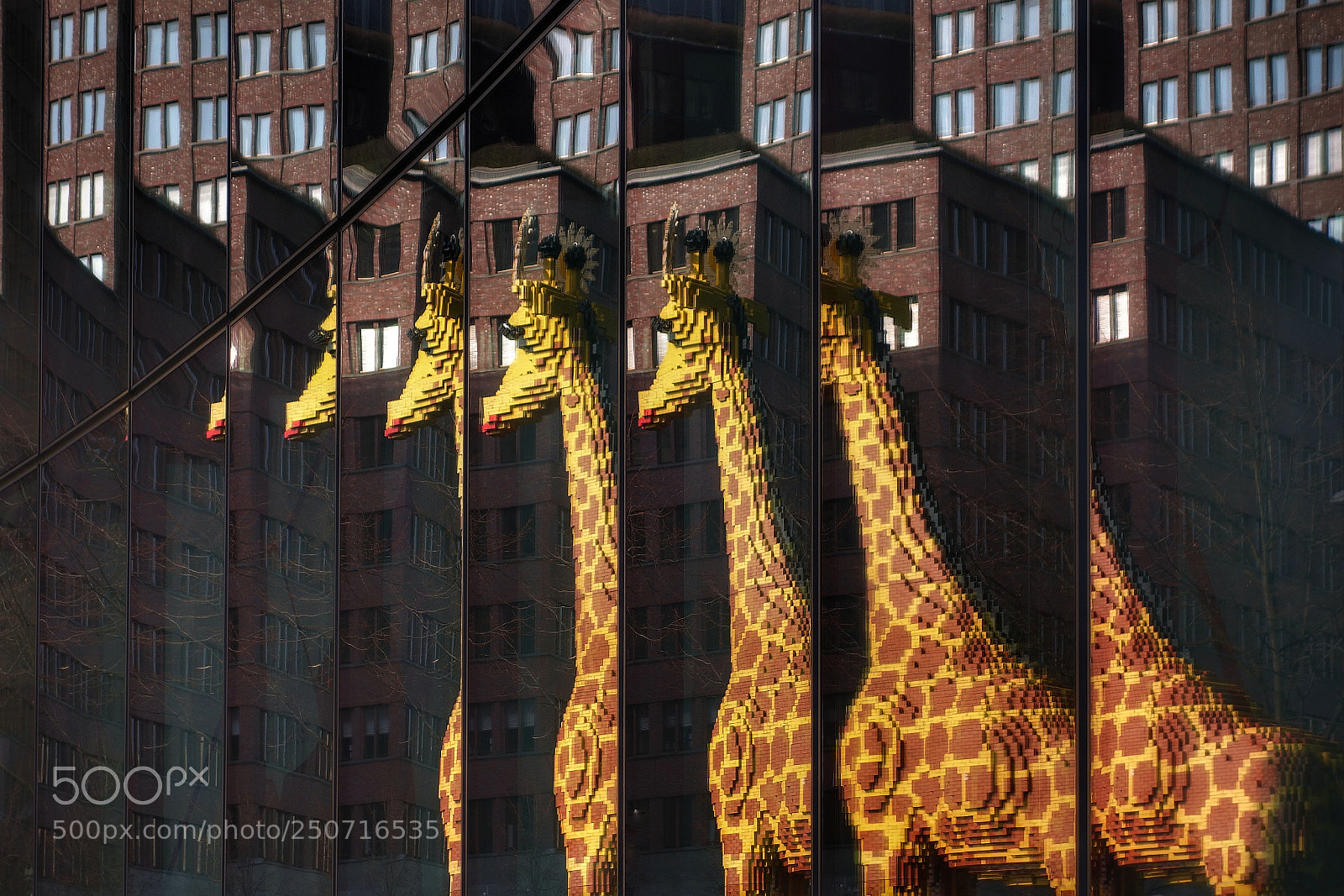 Sony Cyber-shot DSC-RX100 II sample photo. Giraffen in berlin photography