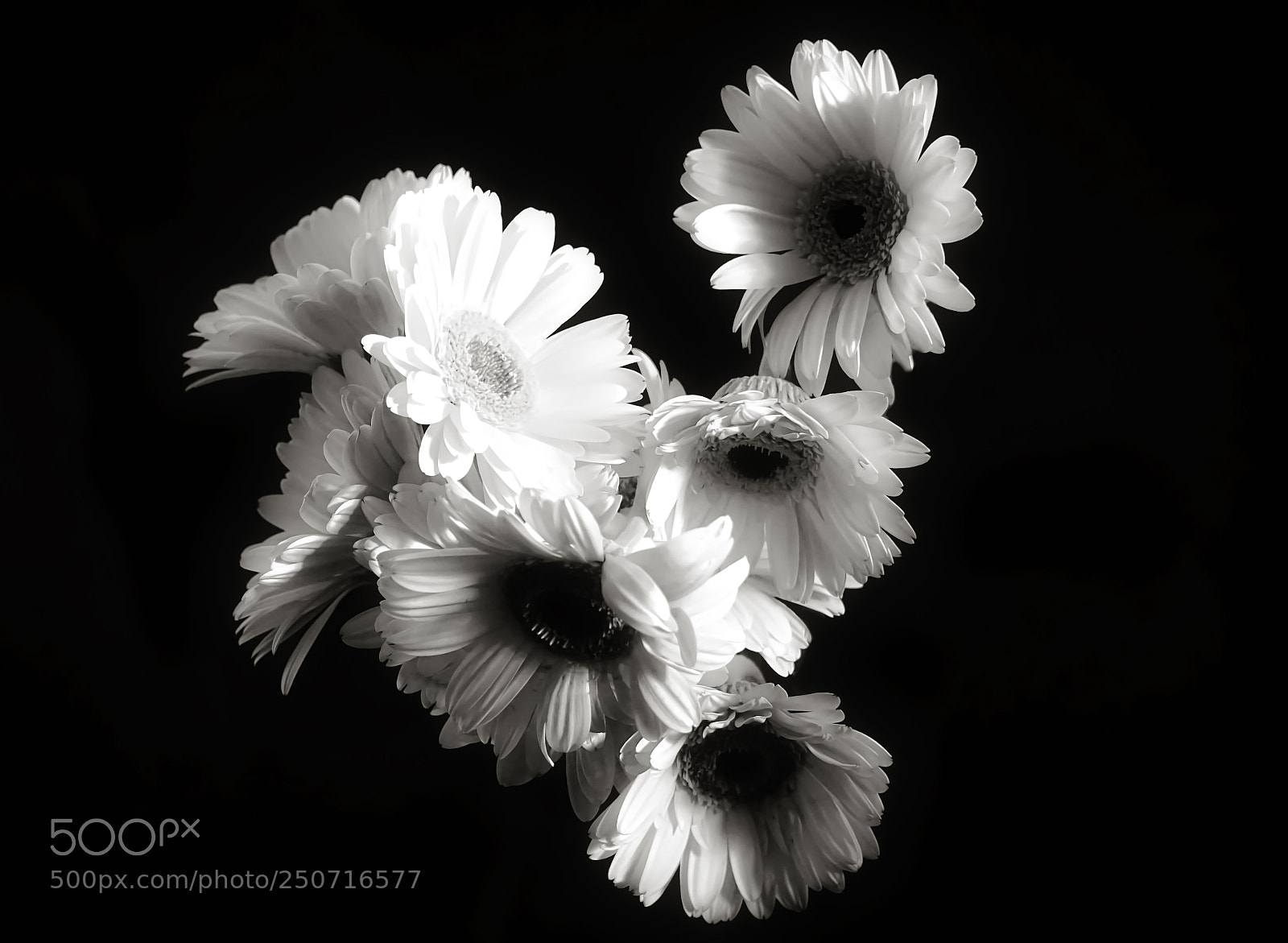 Sony a6000 sample photo. Incandescent photography