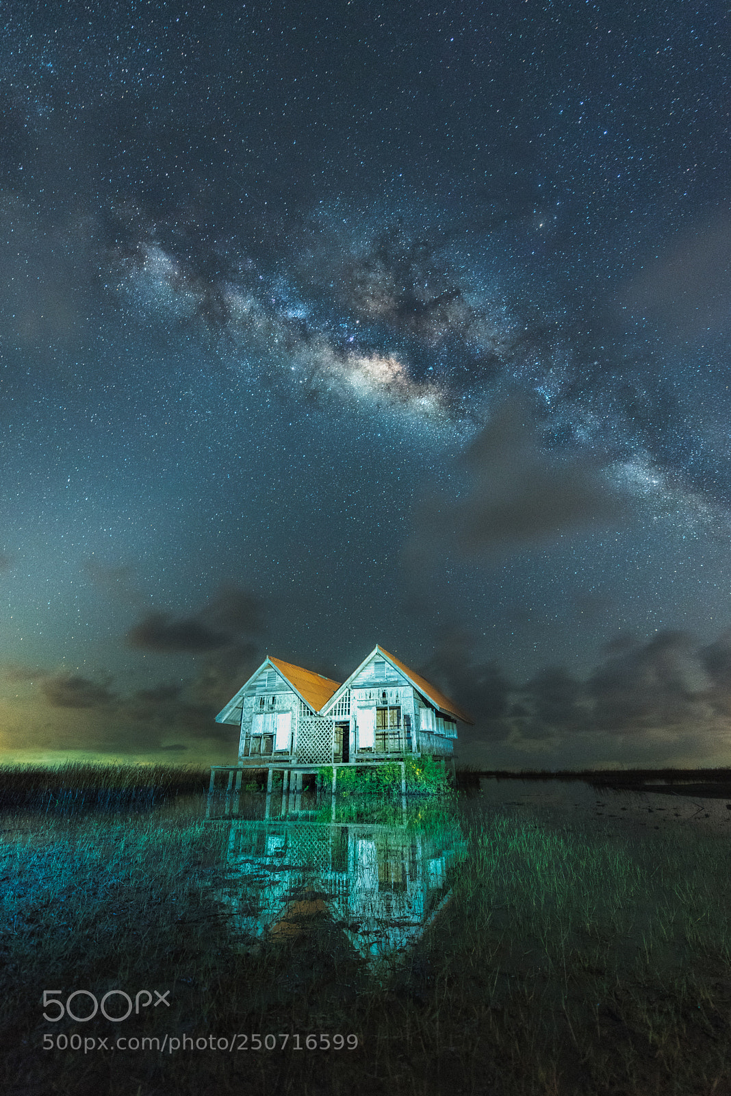 Nikon D810 sample photo. Milky way. beautiful summer photography