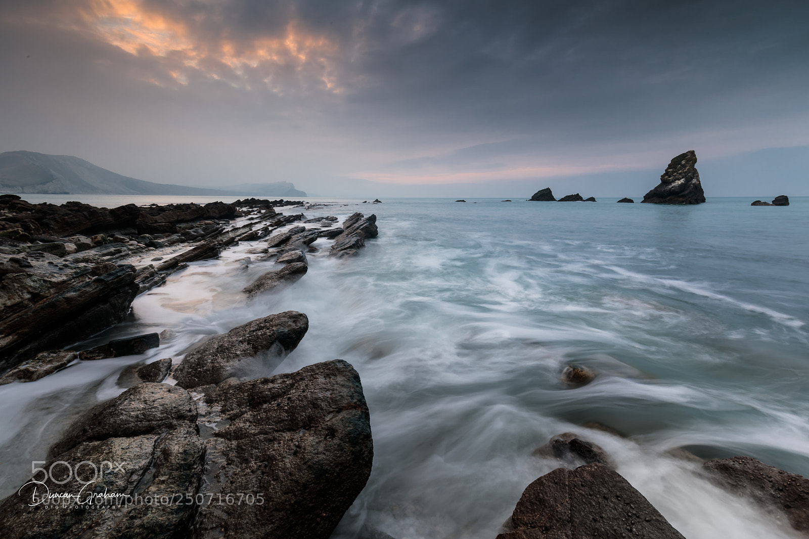 Canon EOS 5D Mark IV sample photo. Wild mupe photography