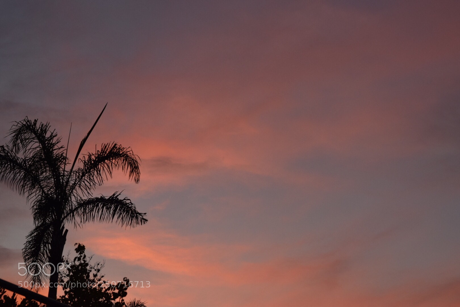 Nikon D3300 sample photo. Untitled photography