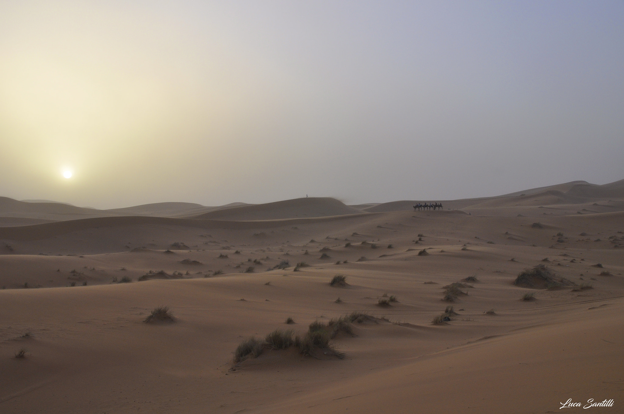 Nikon D5000 + Sigma 17-70mm F2.8-4 DC Macro OS HSM | C sample photo. La luce del tramonto sulle dune del deserto photography