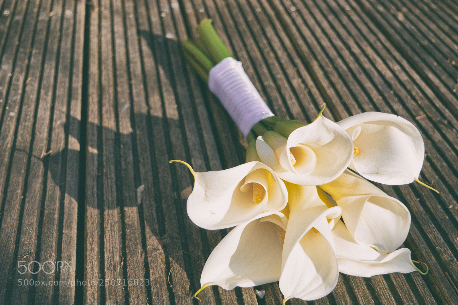 Nikon D7100 sample photo. The bride's bouquet photography