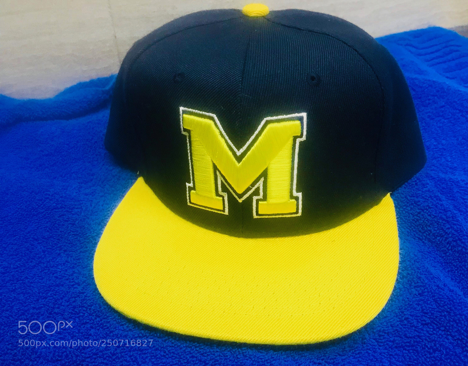 Apple iPhone 7 Plus sample photo. For the wolverines  photography