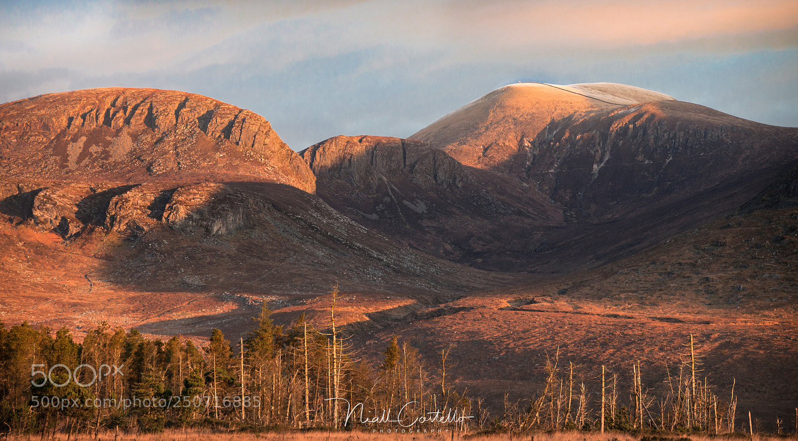 Canon EOS 5D Mark II sample photo. Donard & co. photography