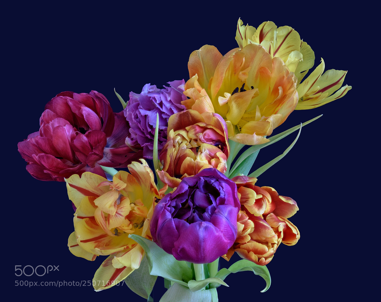 Nikon D810 sample photo. Colors of spring ii photography