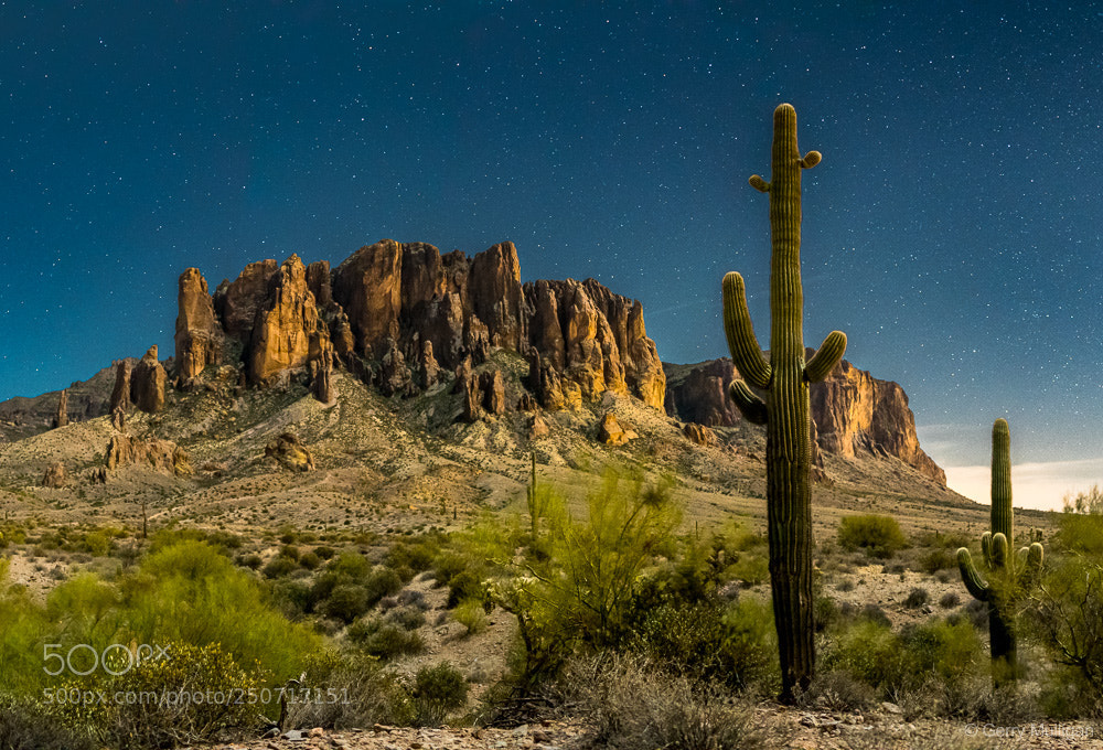 Nikon D500 sample photo. Superstitions by a quarter photography