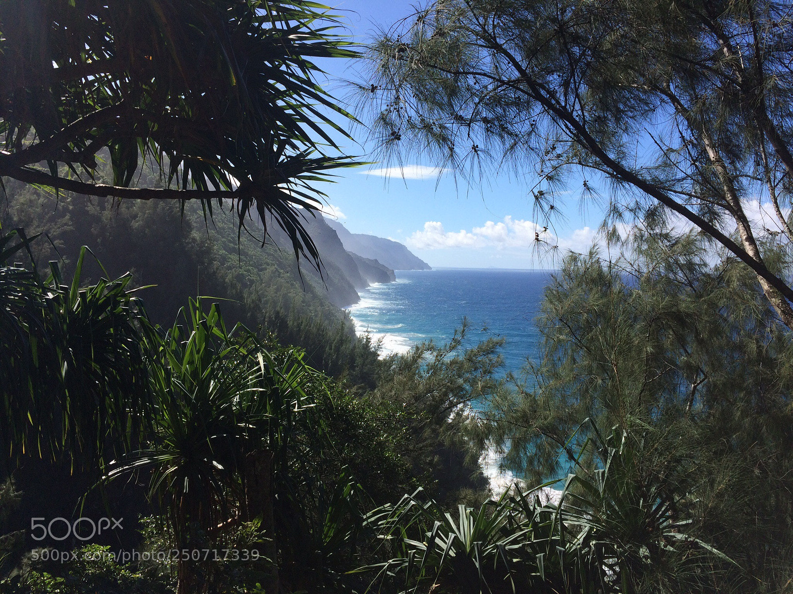 Apple iPhone 5s sample photo. Beautiful hike in kaua photography