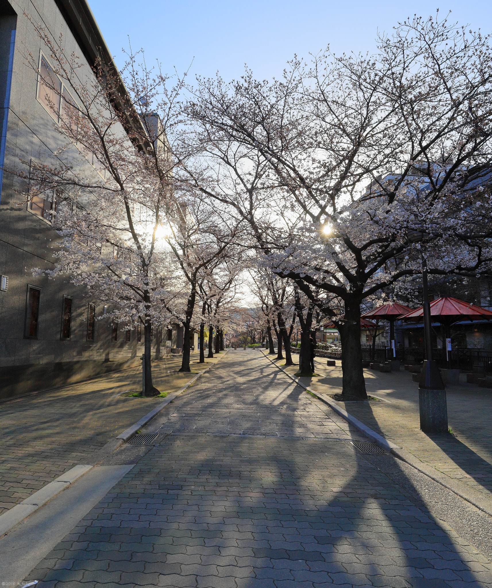 Canon EF 16-35mm F4L IS USM sample photo. Twin lights photography