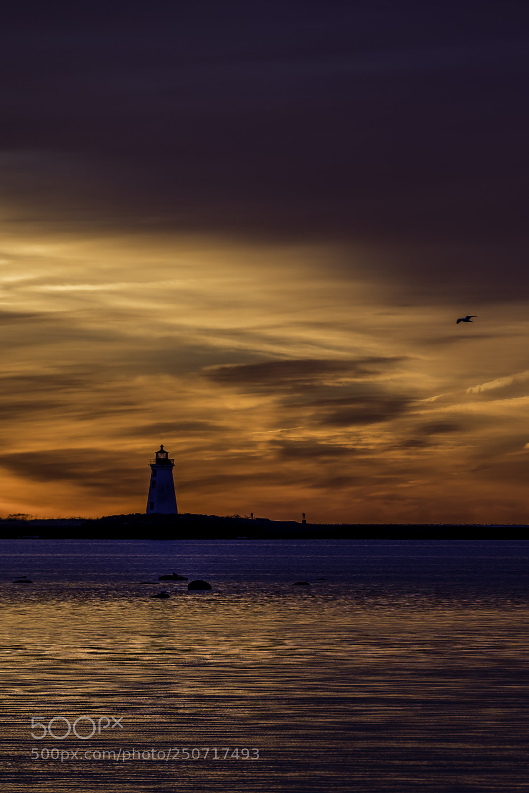 Nikon D850 sample photo. Just a lighthouse waiting photography