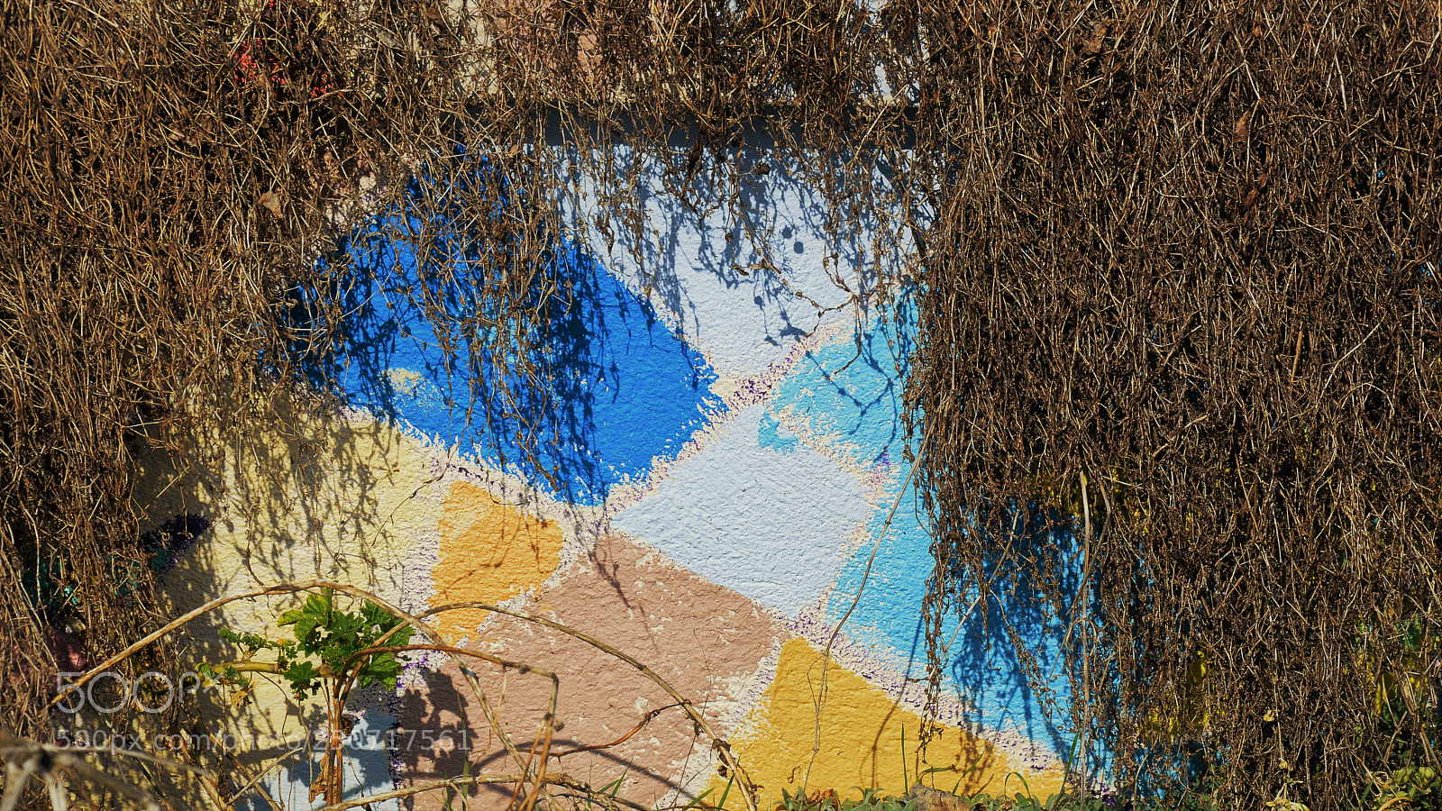 Nikon D3200 sample photo. Untitled photography