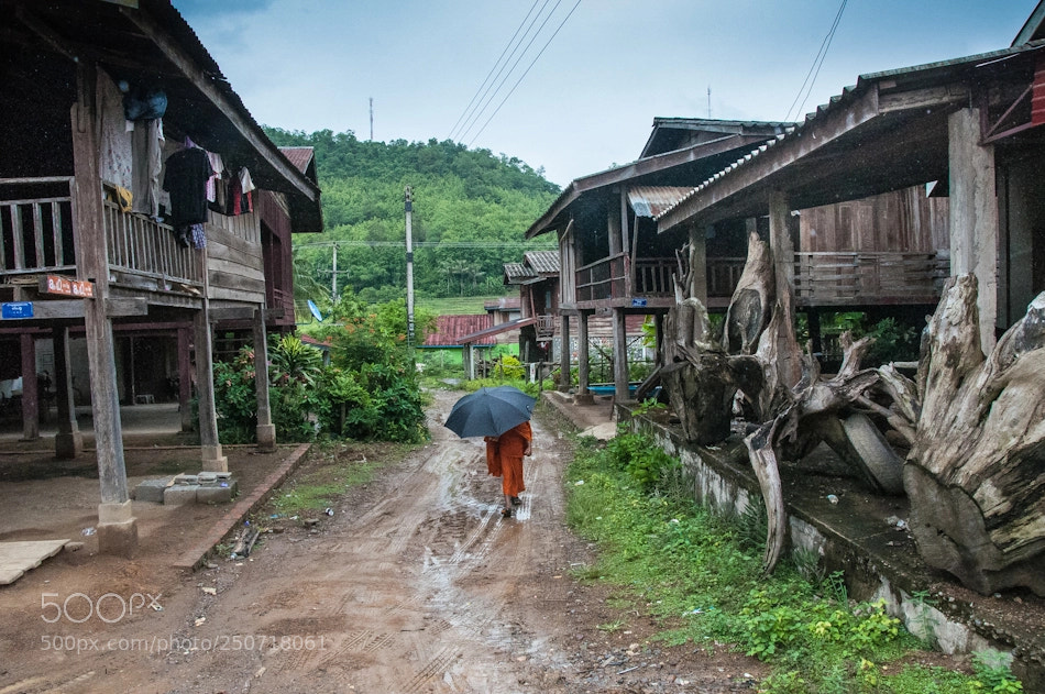 Nikon D90 sample photo. Monk in rain photography