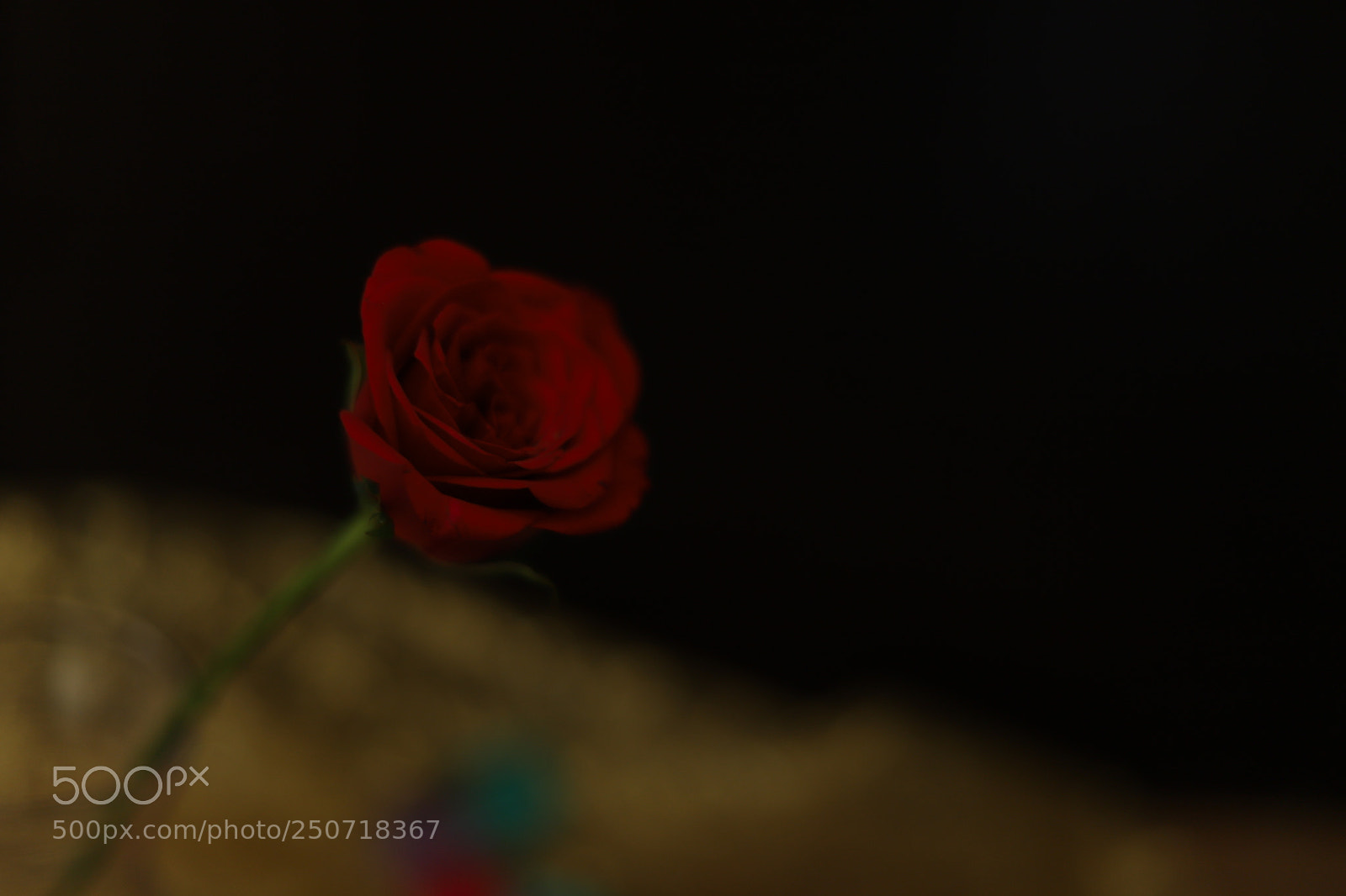 Canon EOS 6D Mark II sample photo. Untitled photography