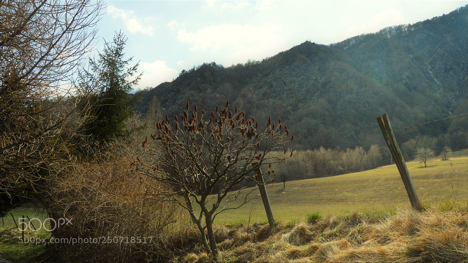 Nikon D3200 sample photo. Untitled photography