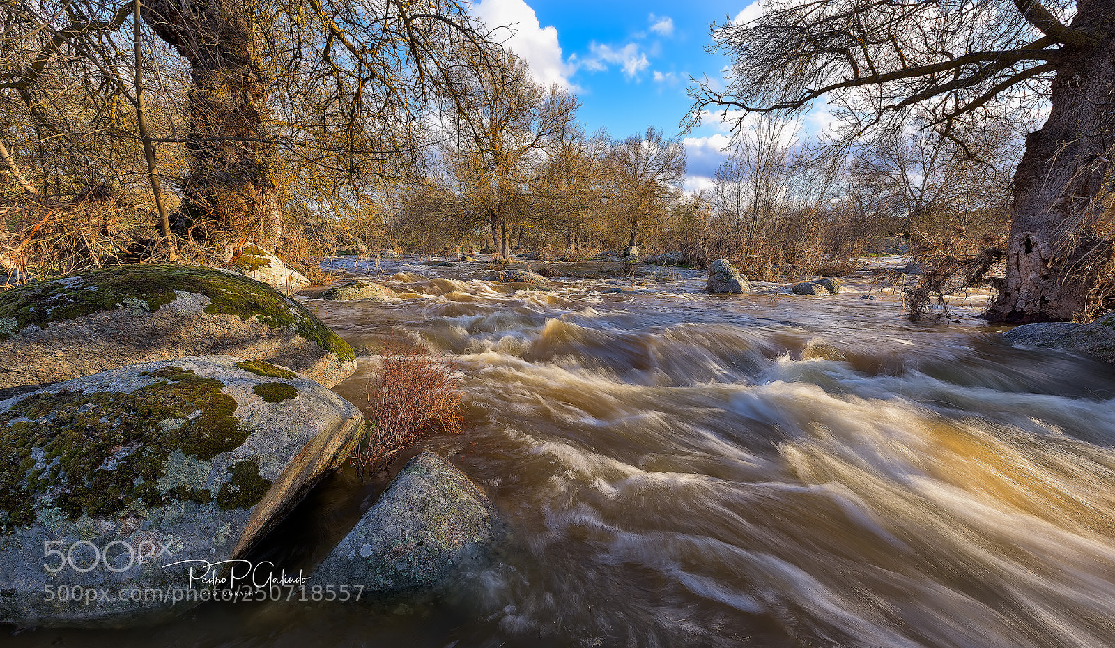 Nikon D810 sample photo. Rio torcon photography