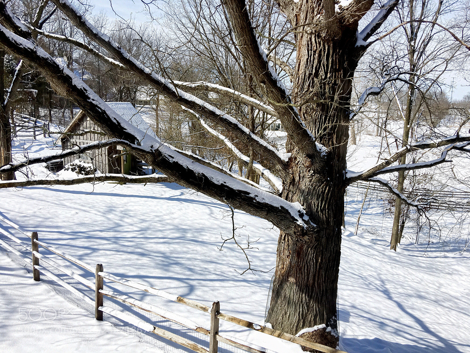 Apple iPhone 6s Plus sample photo. Spring snow photography